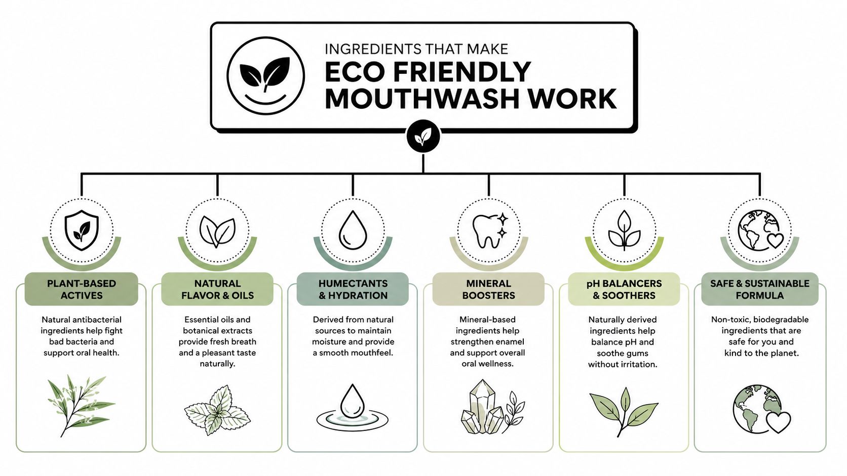 An infographic detailing the six key natural ingredient categories that make eco-friendly mouthwash work effectively.