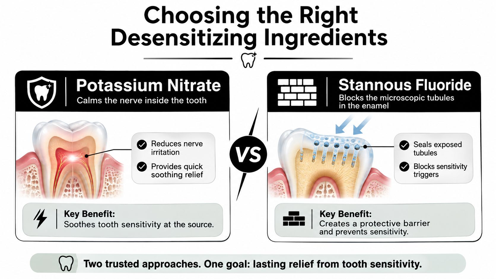 A comparison chart explaining how Potassium Nitrate and Stannous Fluoride ingredients help relieve tooth sensitivity.