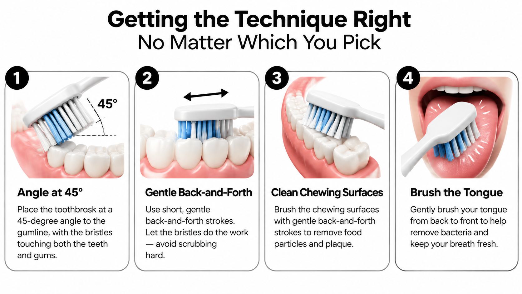 An instructional graphic showing four steps for the proper technique to brush teeth using a toothbrush.
