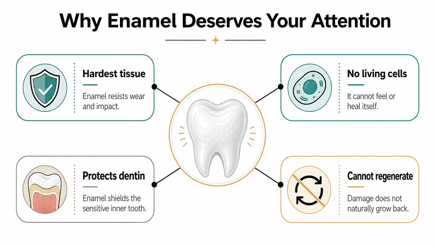An infographic titled Why Enamel Deserves Your Attention explaining the key protective properties and limitations of human tooth enamel.