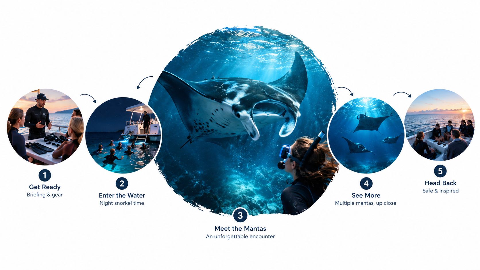 A five-step infographic illustrating the experience of a night snorkeling tour with manta rays in Hawaii.