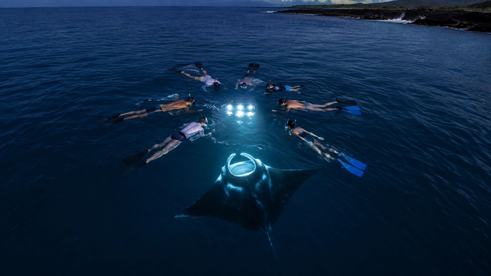 A group of snorkelers swimming in the ocean at night around a manta ray in Hawaii.