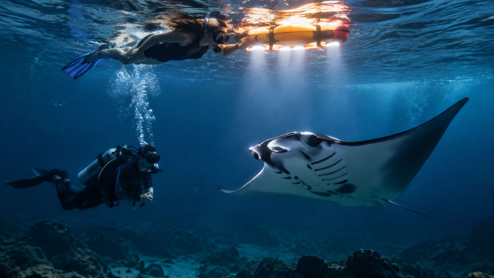 A scuba diver and a snorkeler observe a majestic manta ray swimming underwater in the deep ocean.