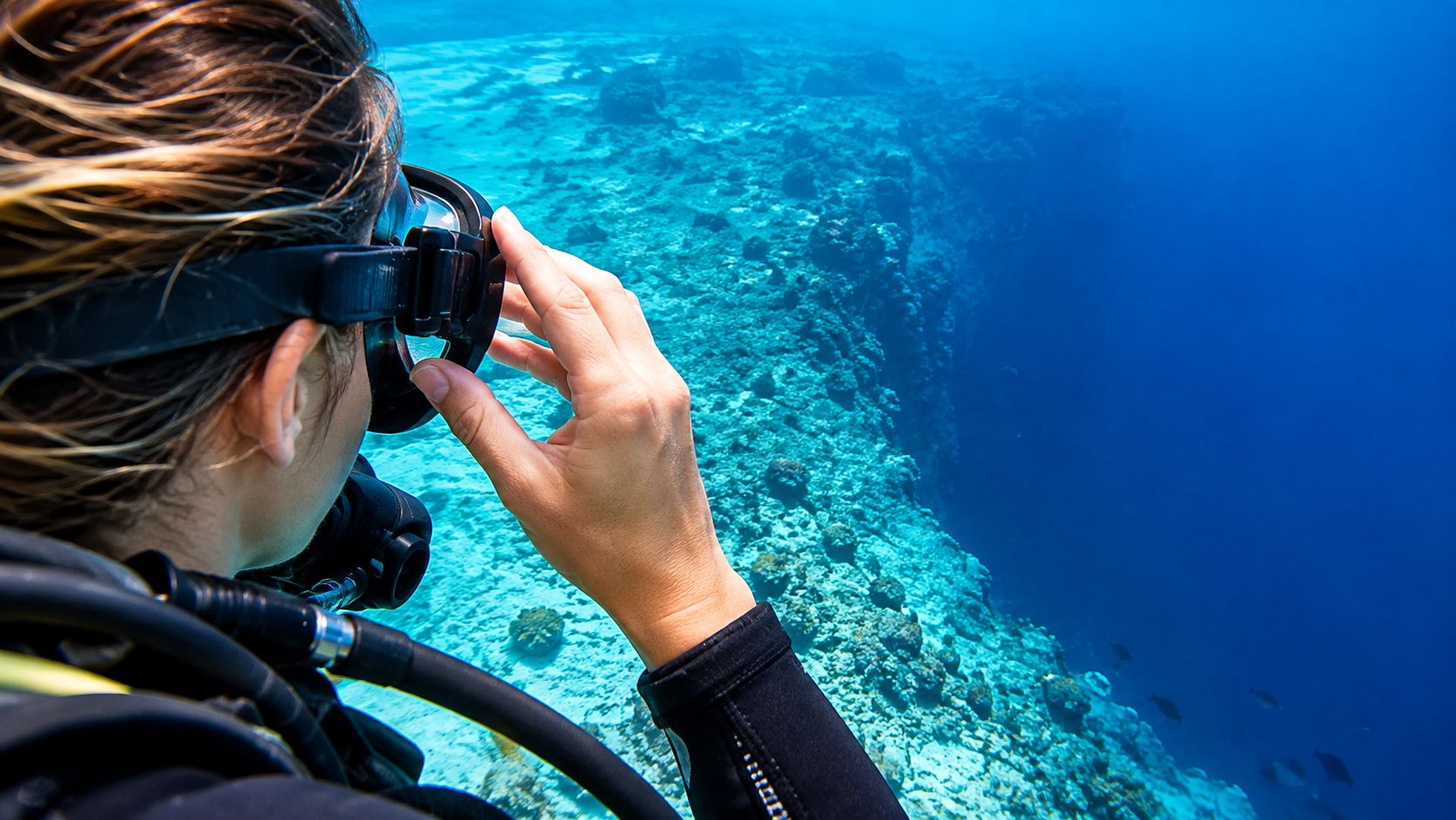 A scuba diver adjusting their mask while observing the coral reef and deep blue ocean drop-off.