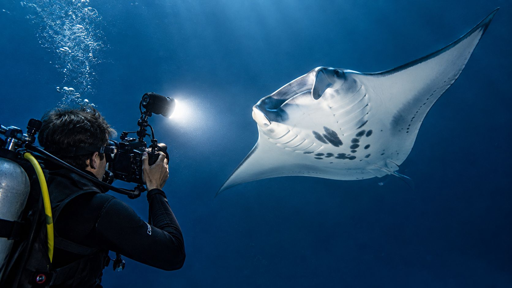 A scuba diver photographing a graceful manta ray swimming in deep blue ocean water at night.