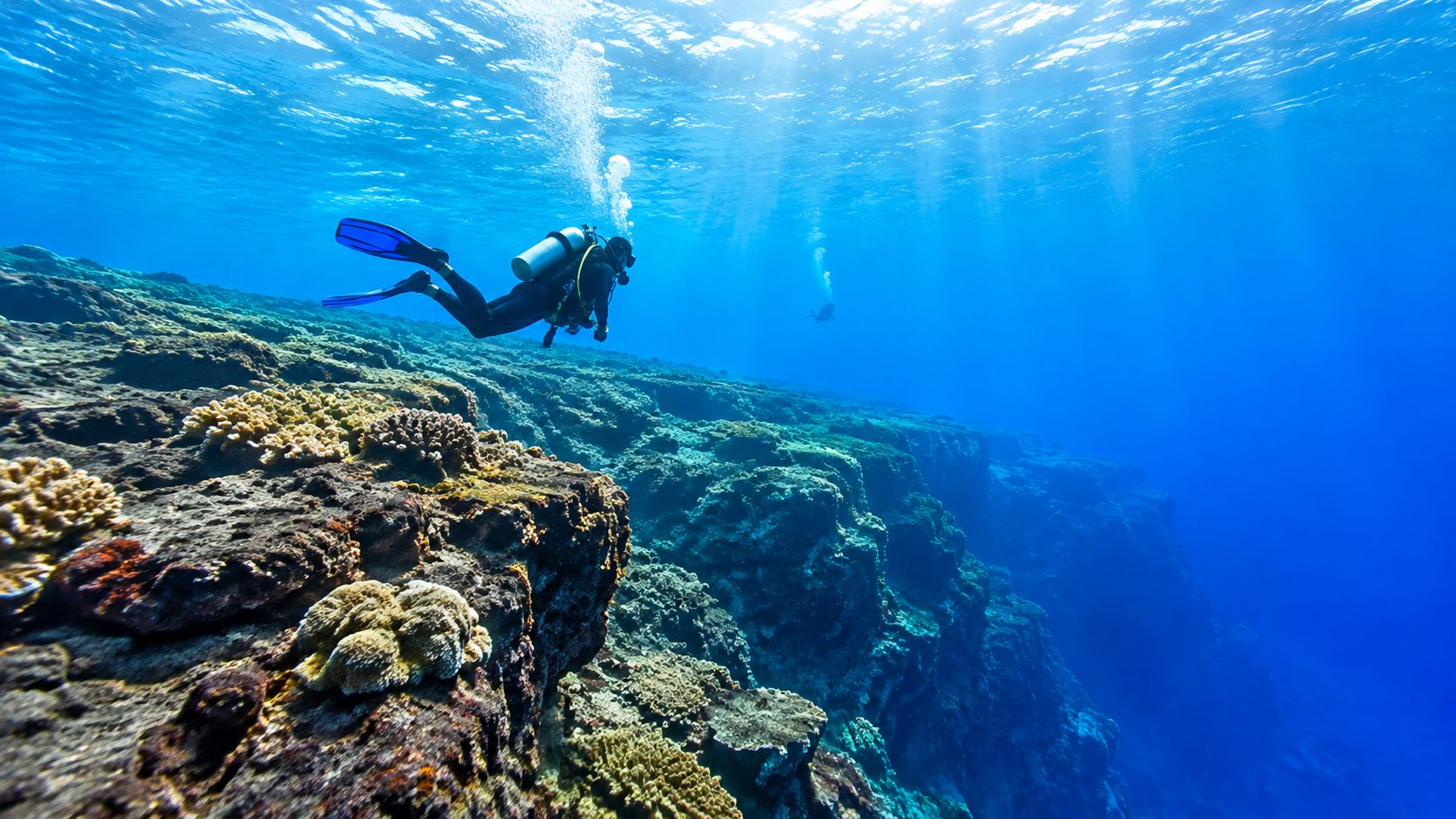 A scuba diver explores the dramatic underwater cliff edge of a coral reef in Hawaii.