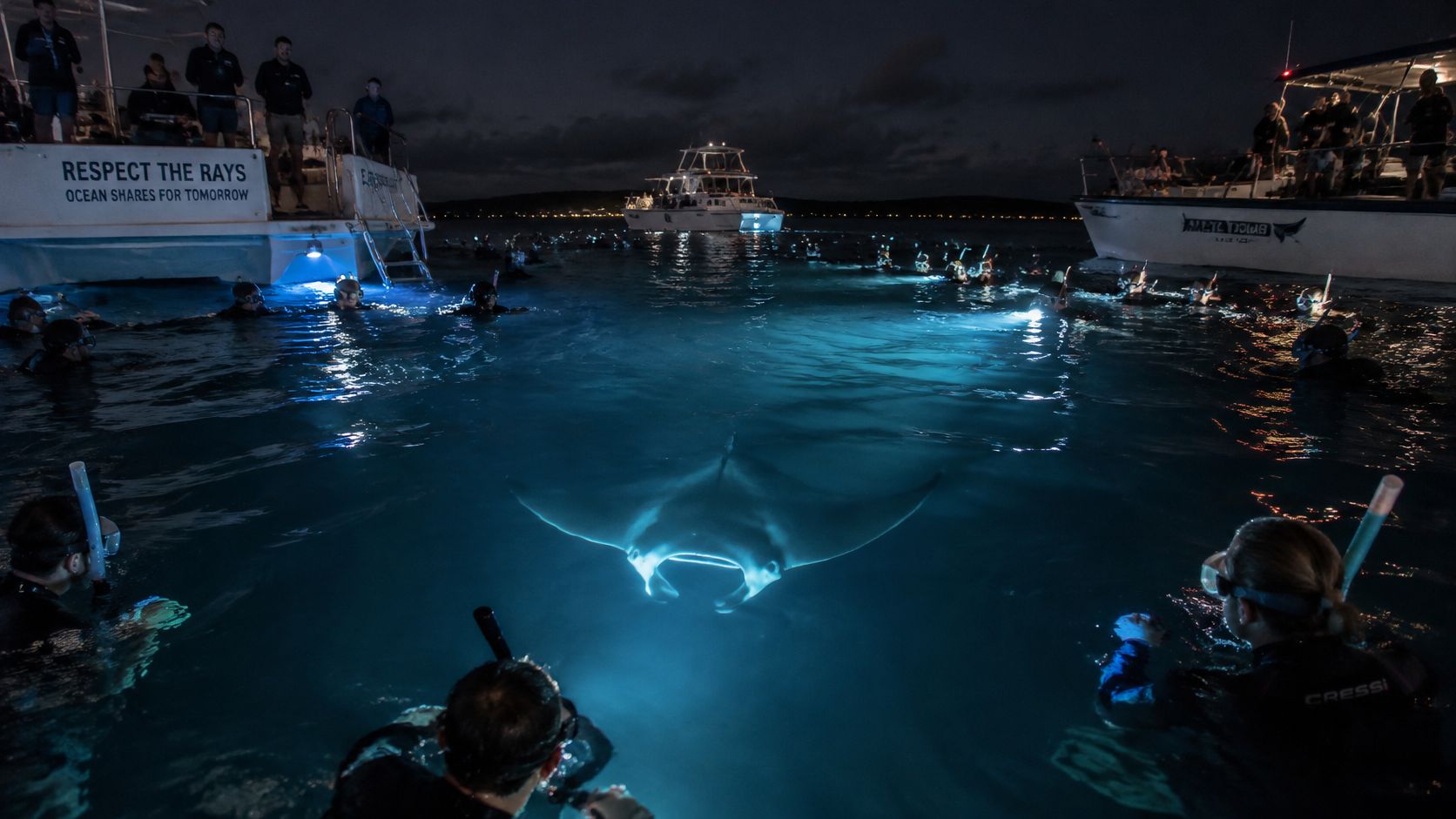 A manta ray illuminated by bright blue lights swimming beneath night snorkelers near boats in Hawaii.