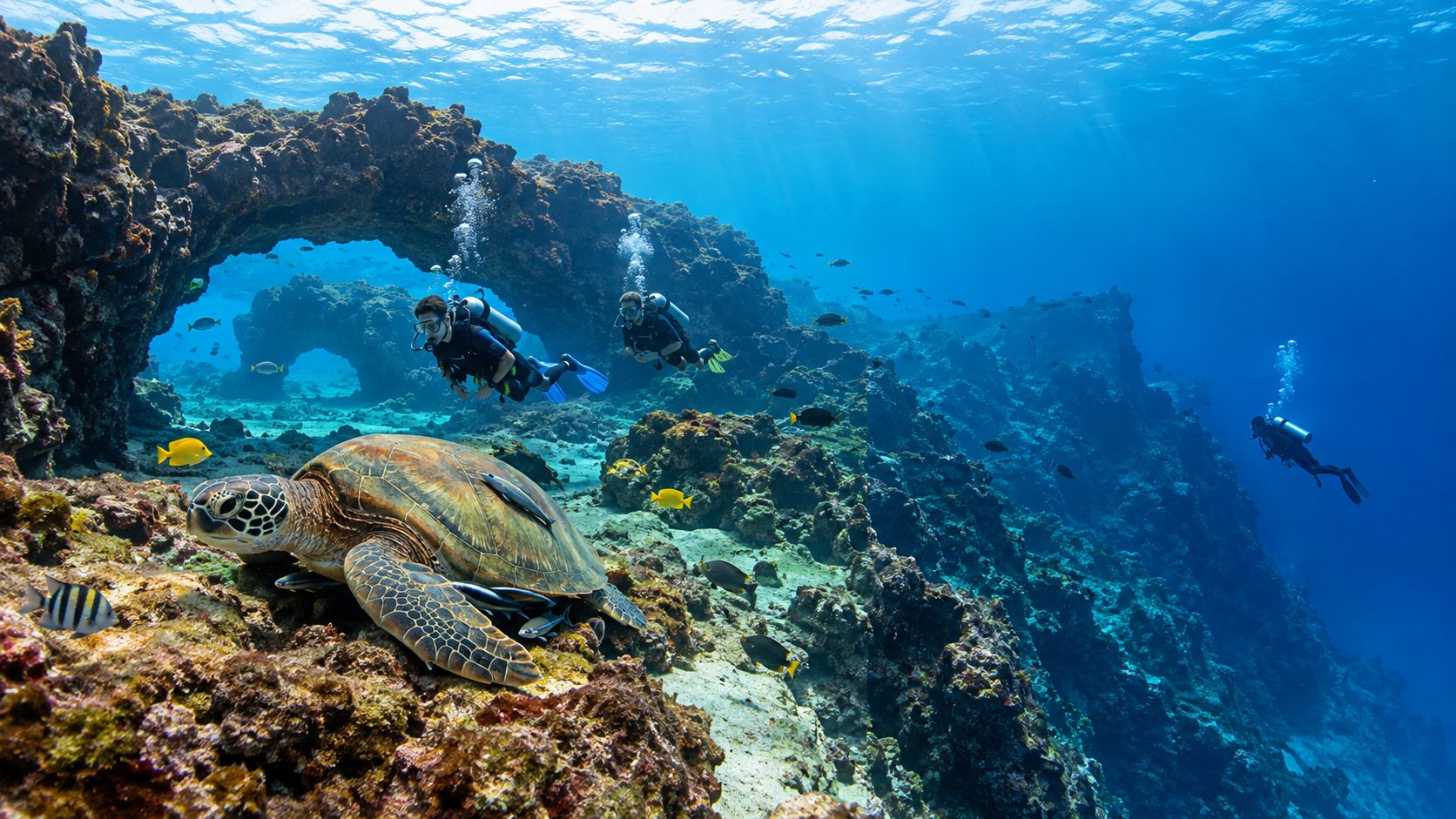 Scuba divers exploring an underwater lava archway with a sea turtle resting on the coral reef.
