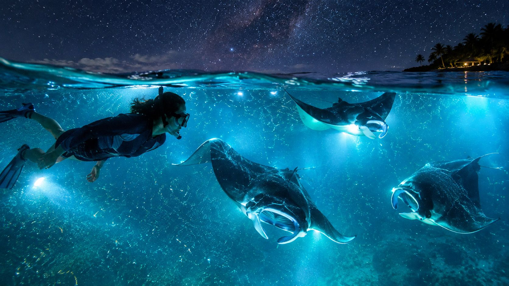 A snorkeler swims near several large manta rays in clear, bioluminescent blue water under a starry night sky.
