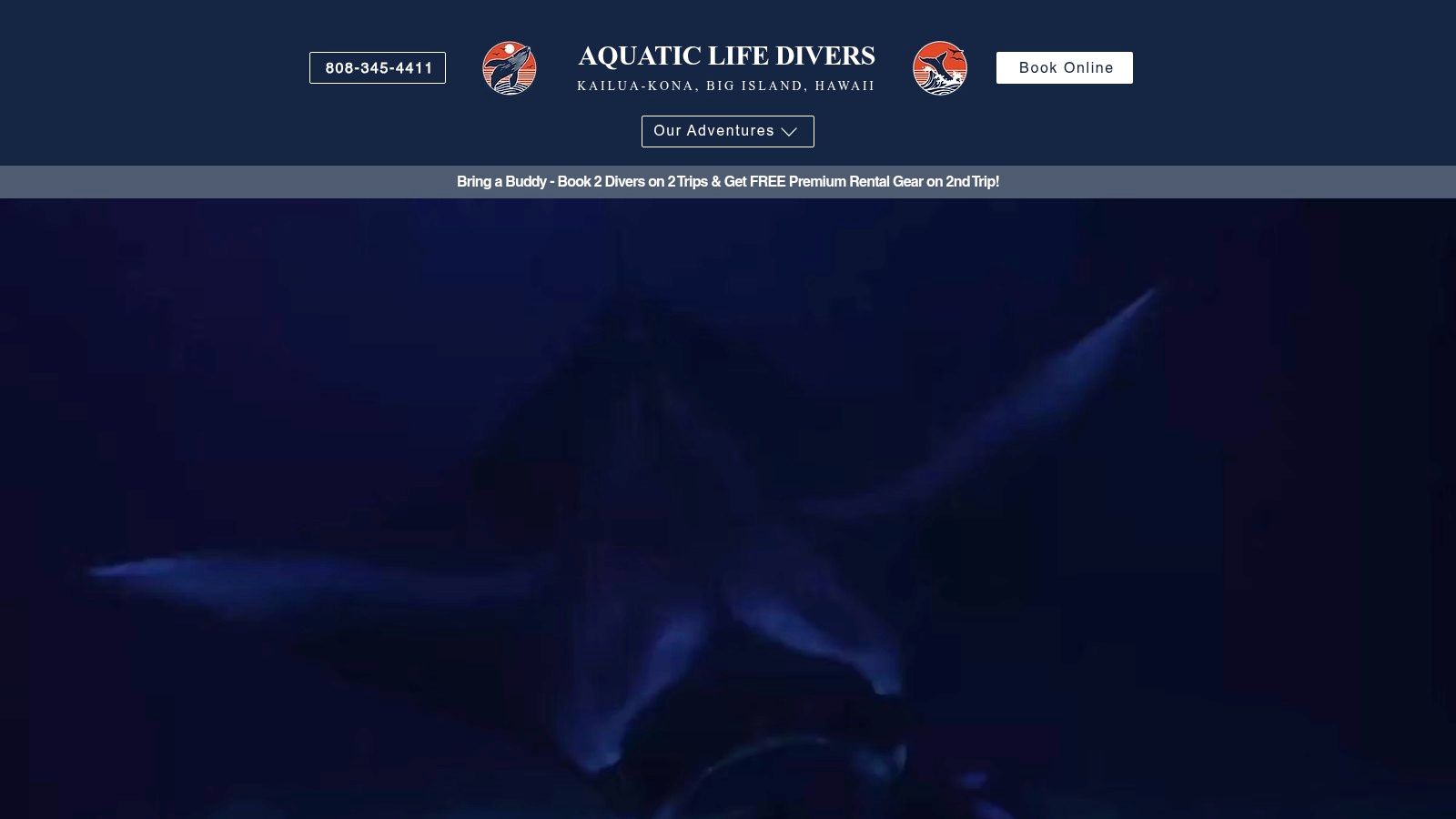 Aquatic Life Divers