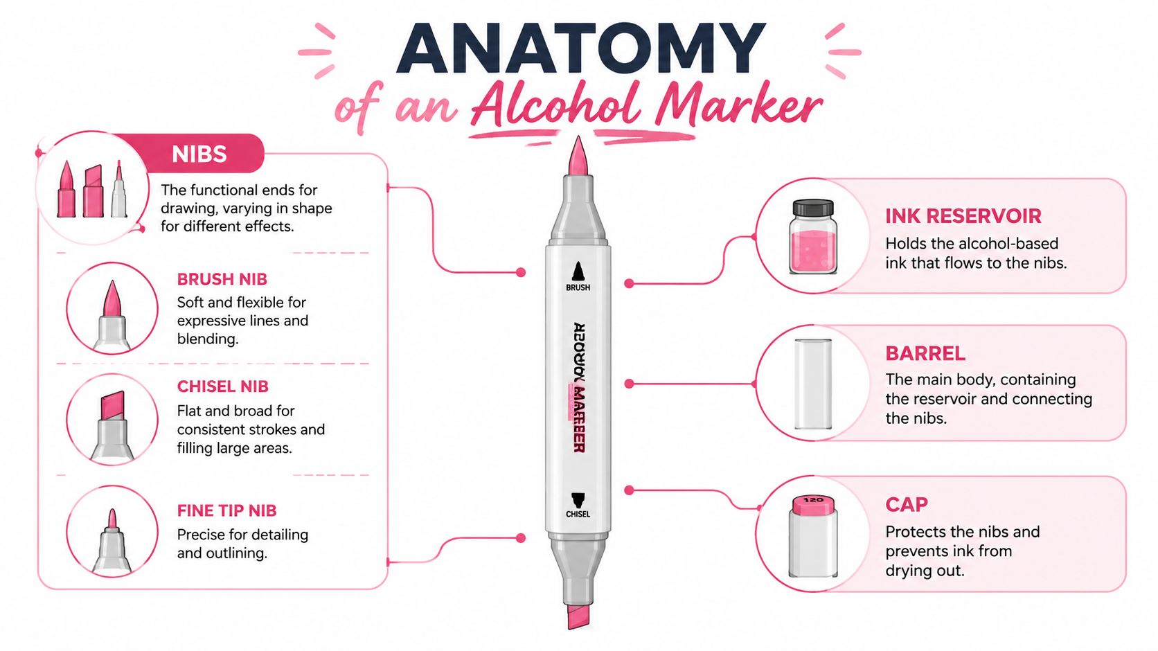 A detailed infographic titled Anatomy of an Alcohol Marker showing the parts and nib types.