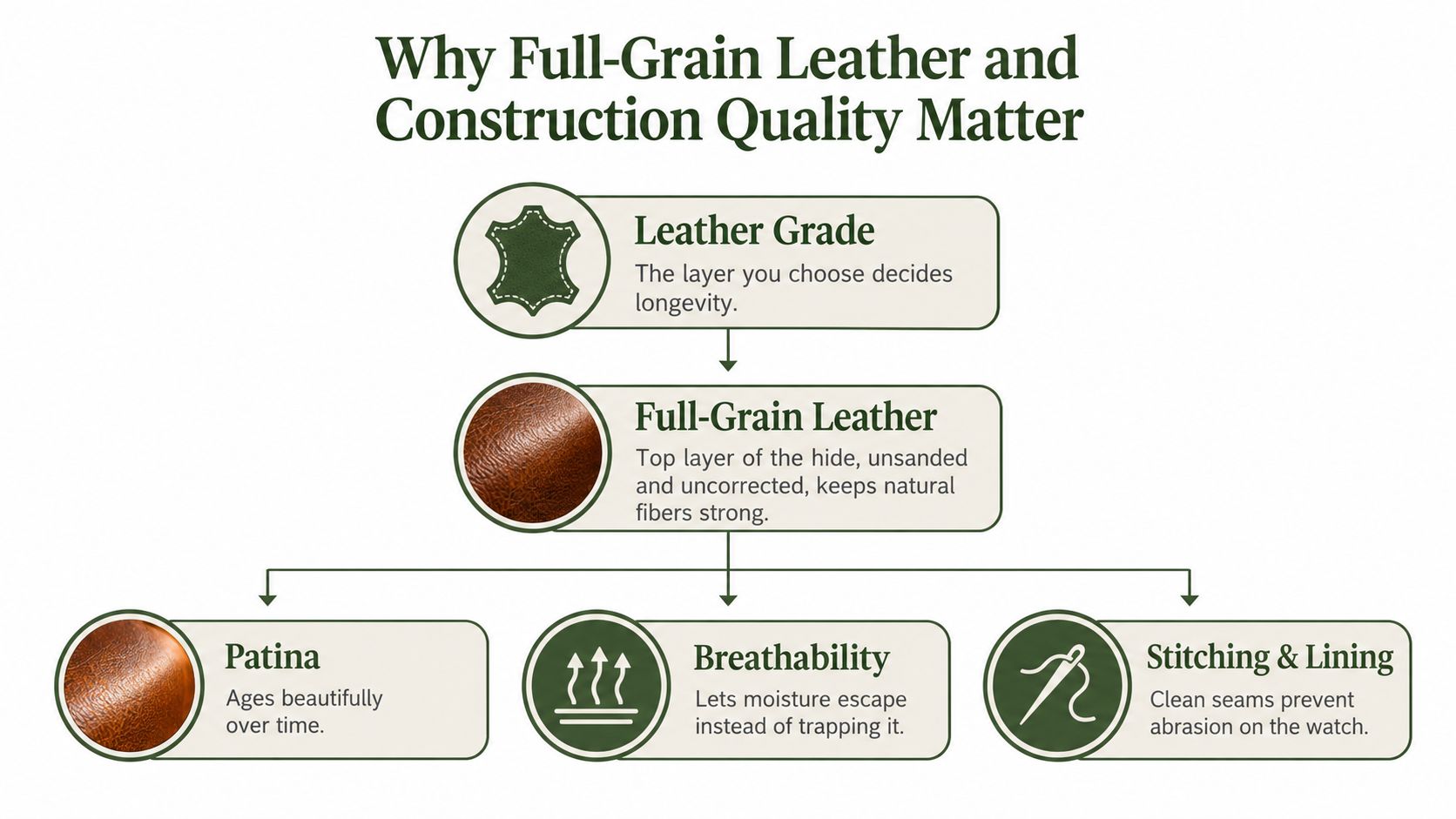 An infographic explaining the benefits of full-grain leather and quality construction for watch display cases.