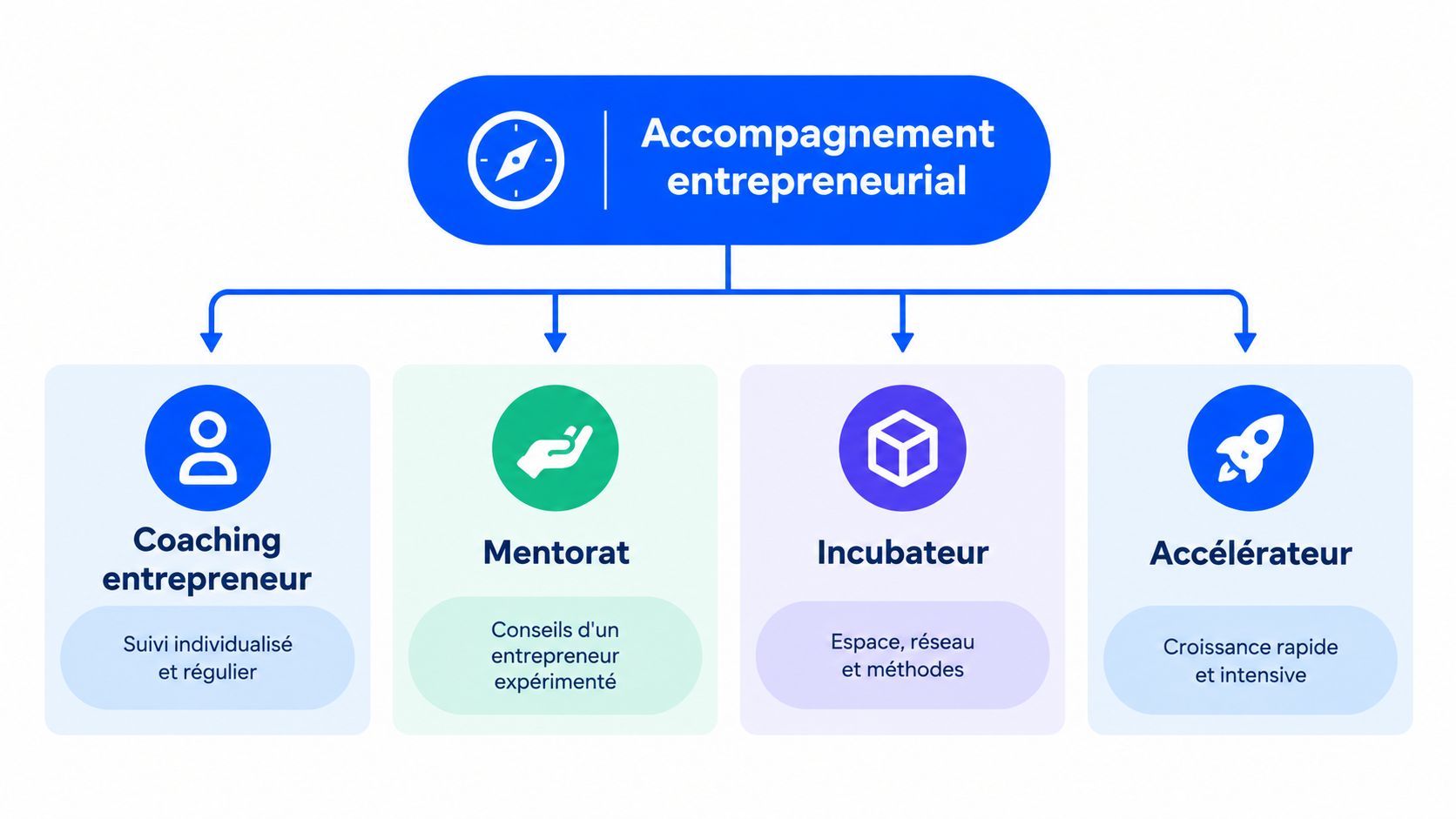 Schéma illustrant les différentes formes d'accompagnement entrepreneurial : coaching, mentorat, incubateur et accélérateur de projets.