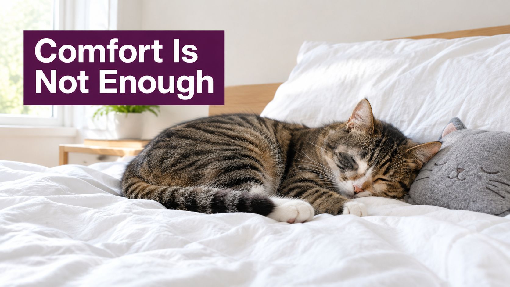 A cute tabby cat sleeping comfortably on a white bed next to a small gray cat-shaped pillow.