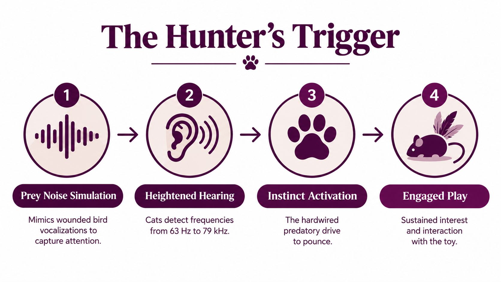 A four-step infographic titled The Hunter's Trigger showing how to engage a cat with play.