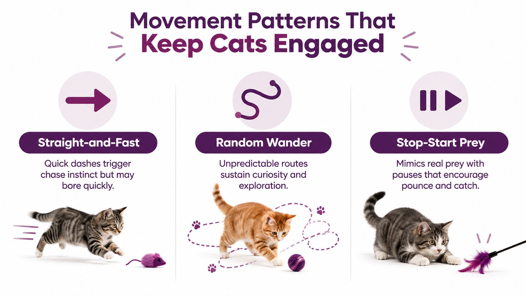 An infographic showing three different play styles to keep cats engaged: straight-and-fast, random wander, and stop-start prey.