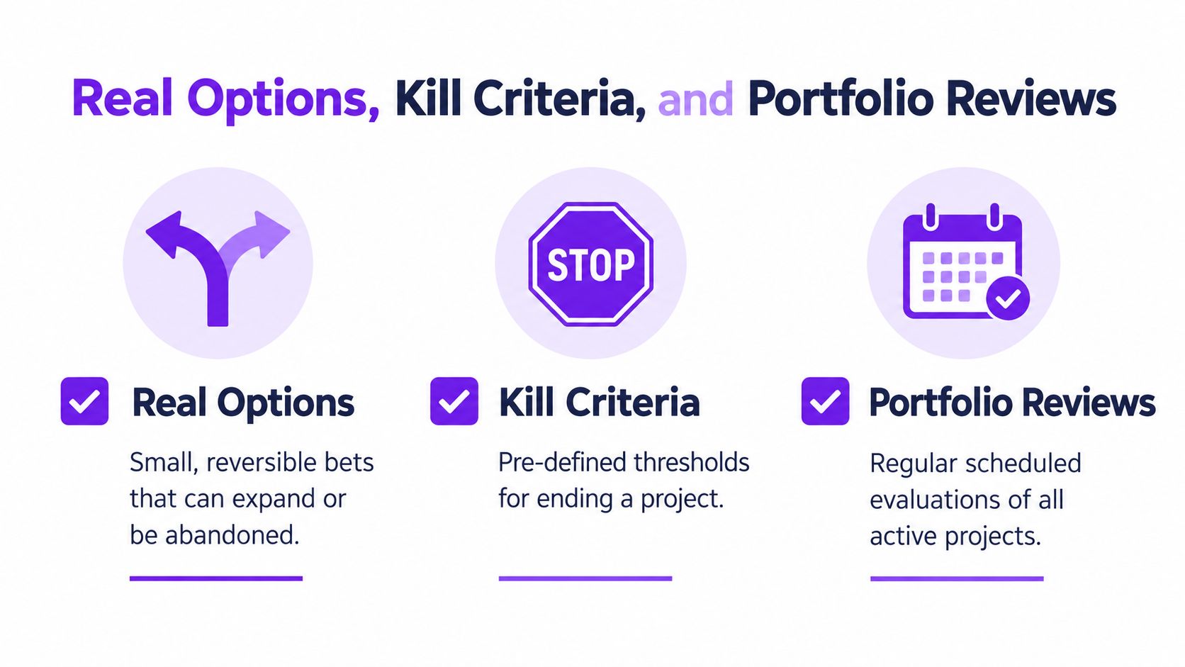 A graphic illustration detailing three business concepts: Real Options, Kill Criteria, and Portfolio Reviews with descriptive text.