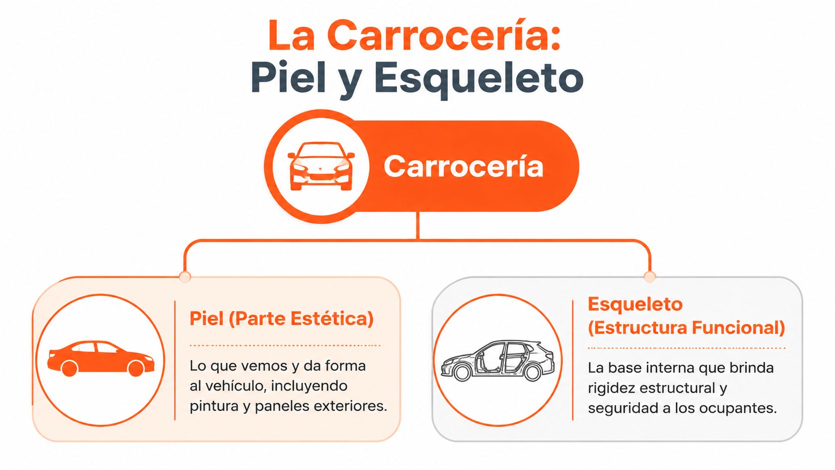 Diagrama explicativo sobre la carrocería automotriz, dividida en piel estética y el esqueleto o estructura funcional.