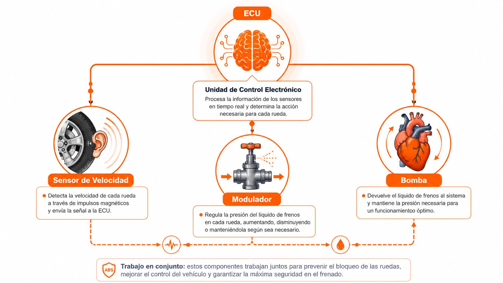 Diagrama explicativo sobre el funcionamiento del sistema de frenos ABS en vehículos con sus componentes principales.