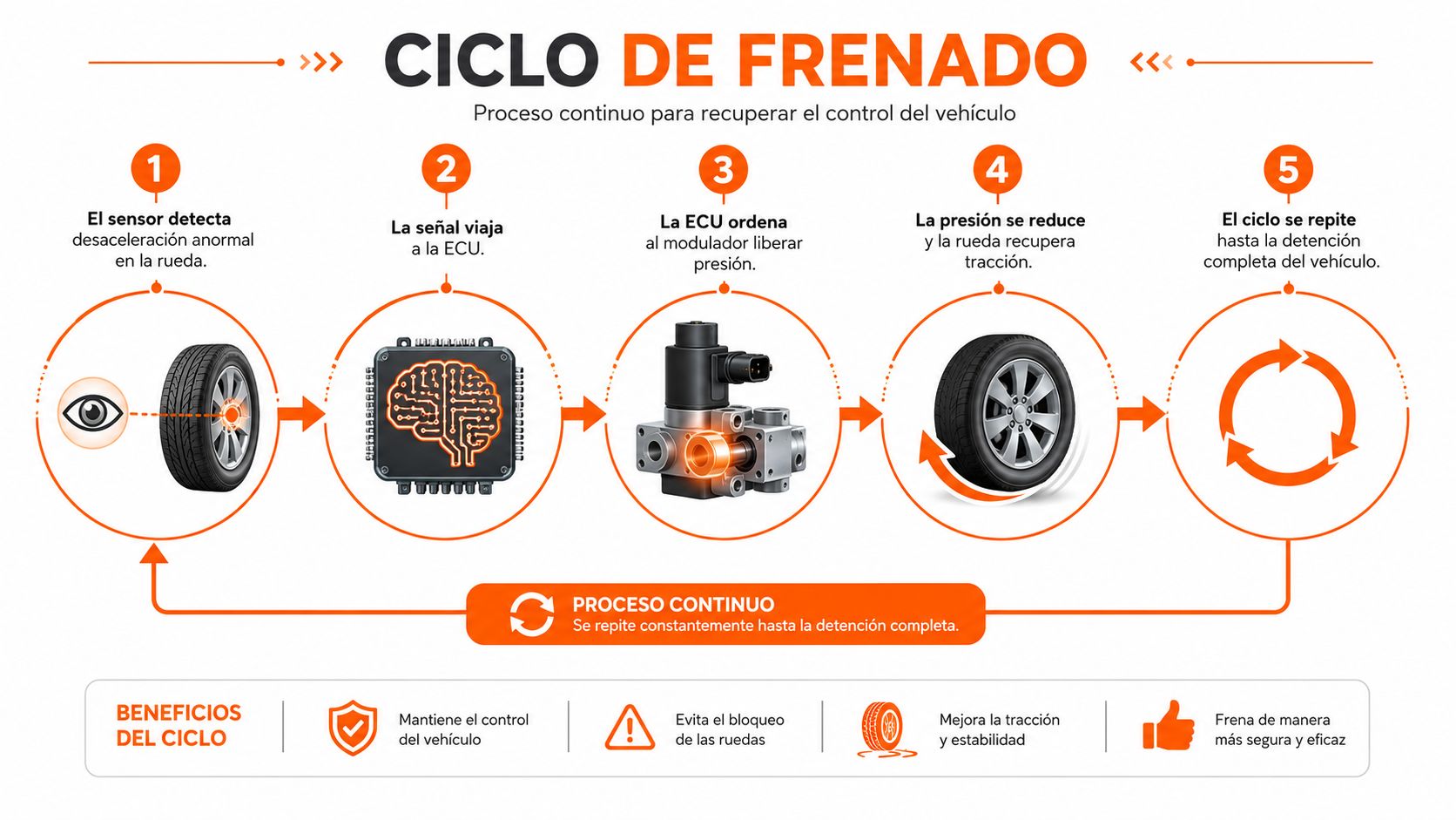 Diagrama explicativo del funcionamiento del ciclo de frenado ABS en vehículos para garantizar la seguridad y el control.