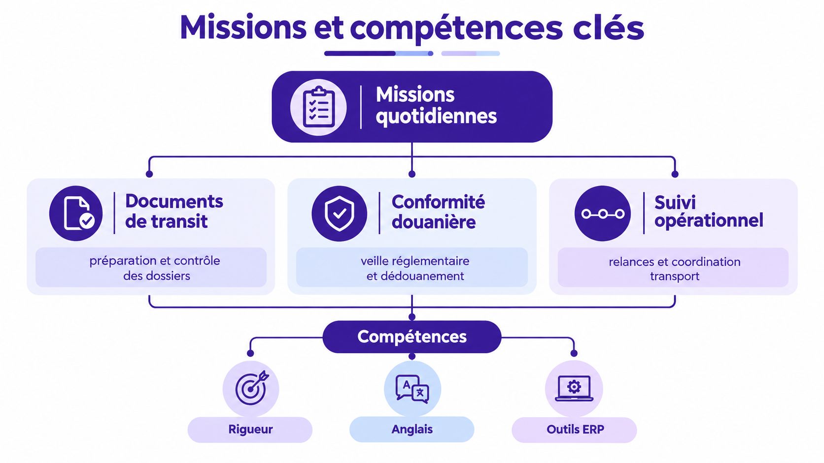 Un schéma présentant les missions quotidiennes et les compétences clés requises pour un poste en import-export.
