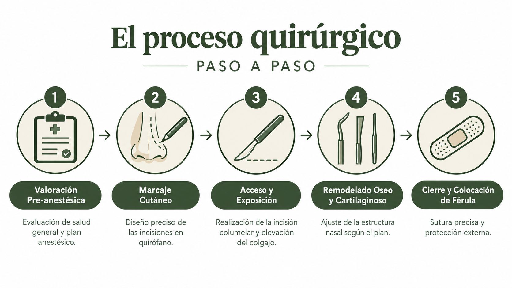 Infografía paso a paso que ilustra el proceso quirúrgico de una rinoplastia abierta desde la evaluación hasta el cierre.