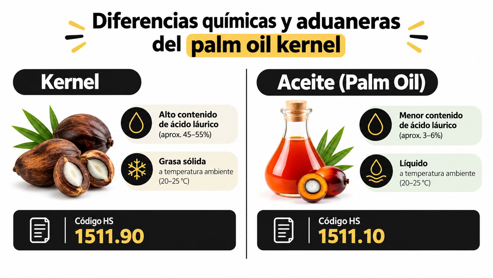 Infografía comparativa que explica las diferencias químicas y aduaneras entre el kernel de palma y el aceite.