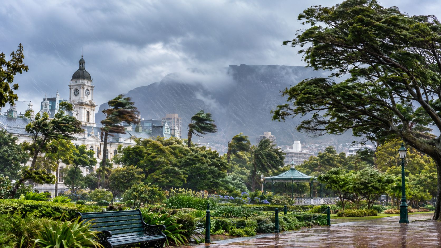 A windy and rainy day at the Company's Garden in Cape Town with Table Mountain in background.