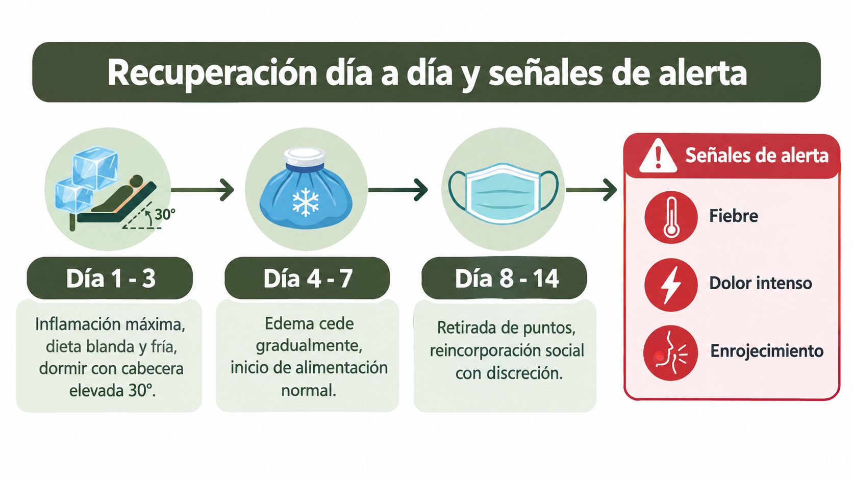 Infografía sobre la recuperación postoperatoria tras la extracción de bolas de Bichat y sus señales de alerta.