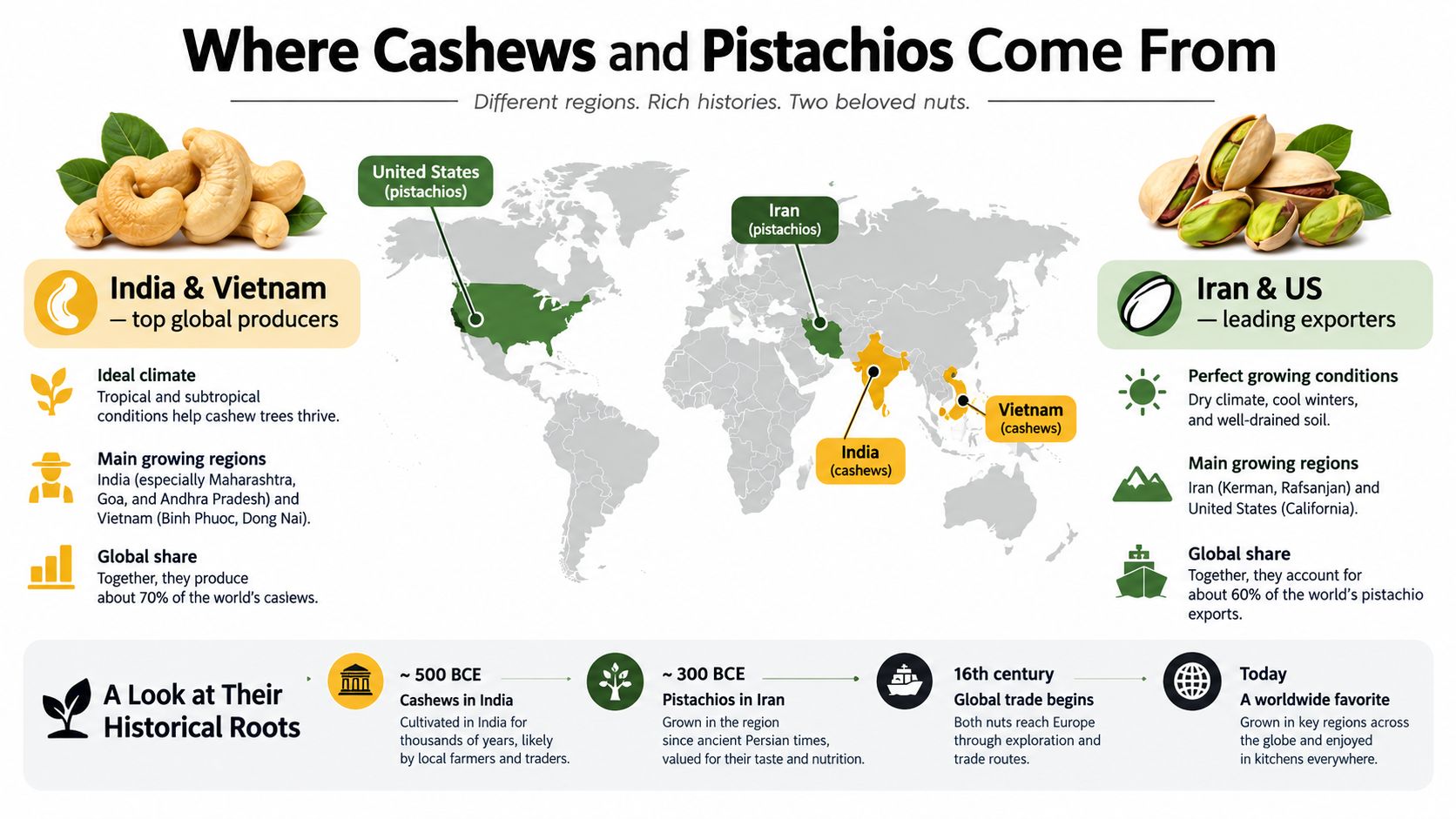 An infographic illustrating global production, historical origins, and key regions for cashews and pistachios.