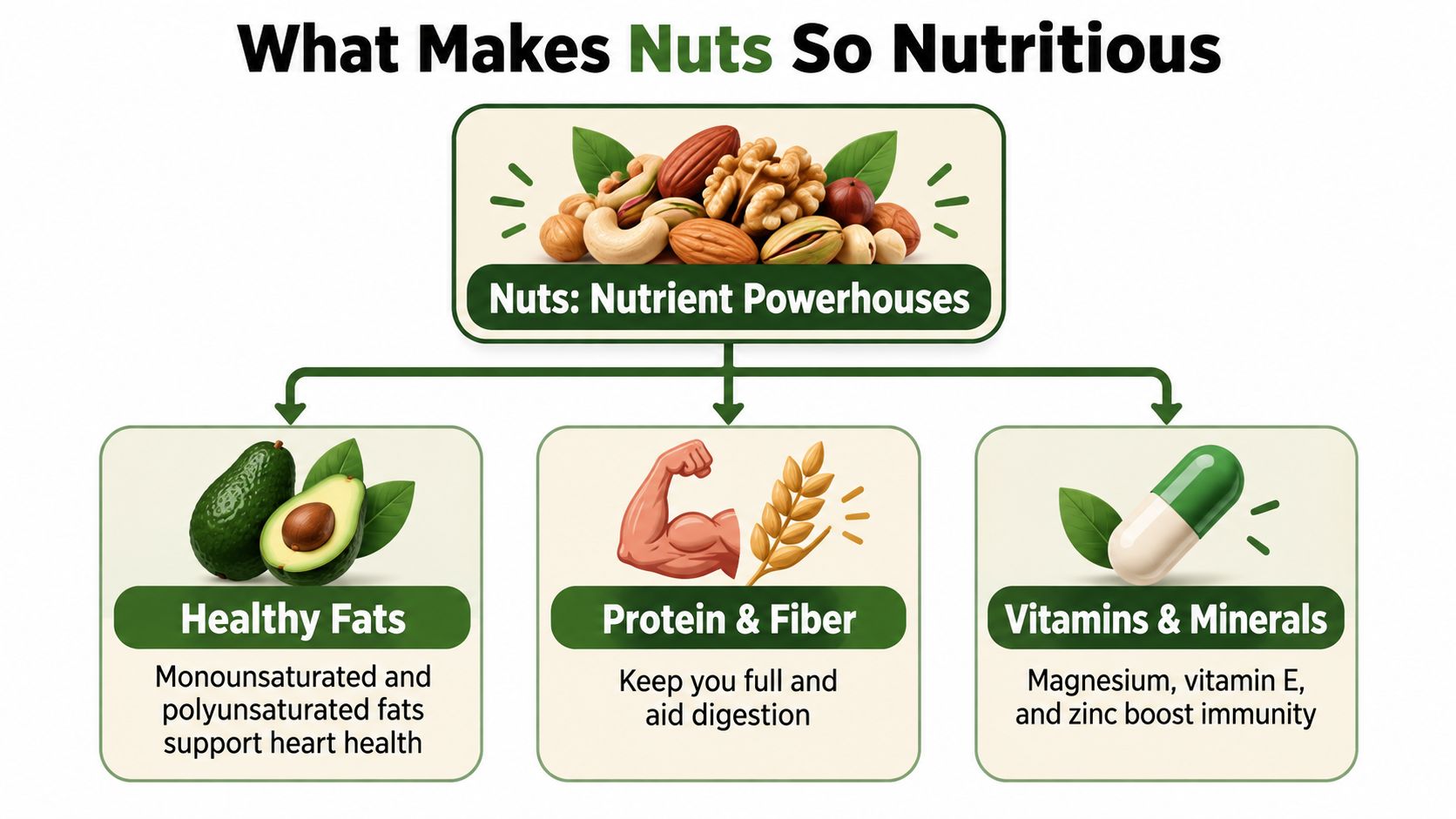 An infographic titled What Makes Nuts So Nutritious, illustrating that nuts provide healthy fats, protein, fiber, vitamins, and minerals.