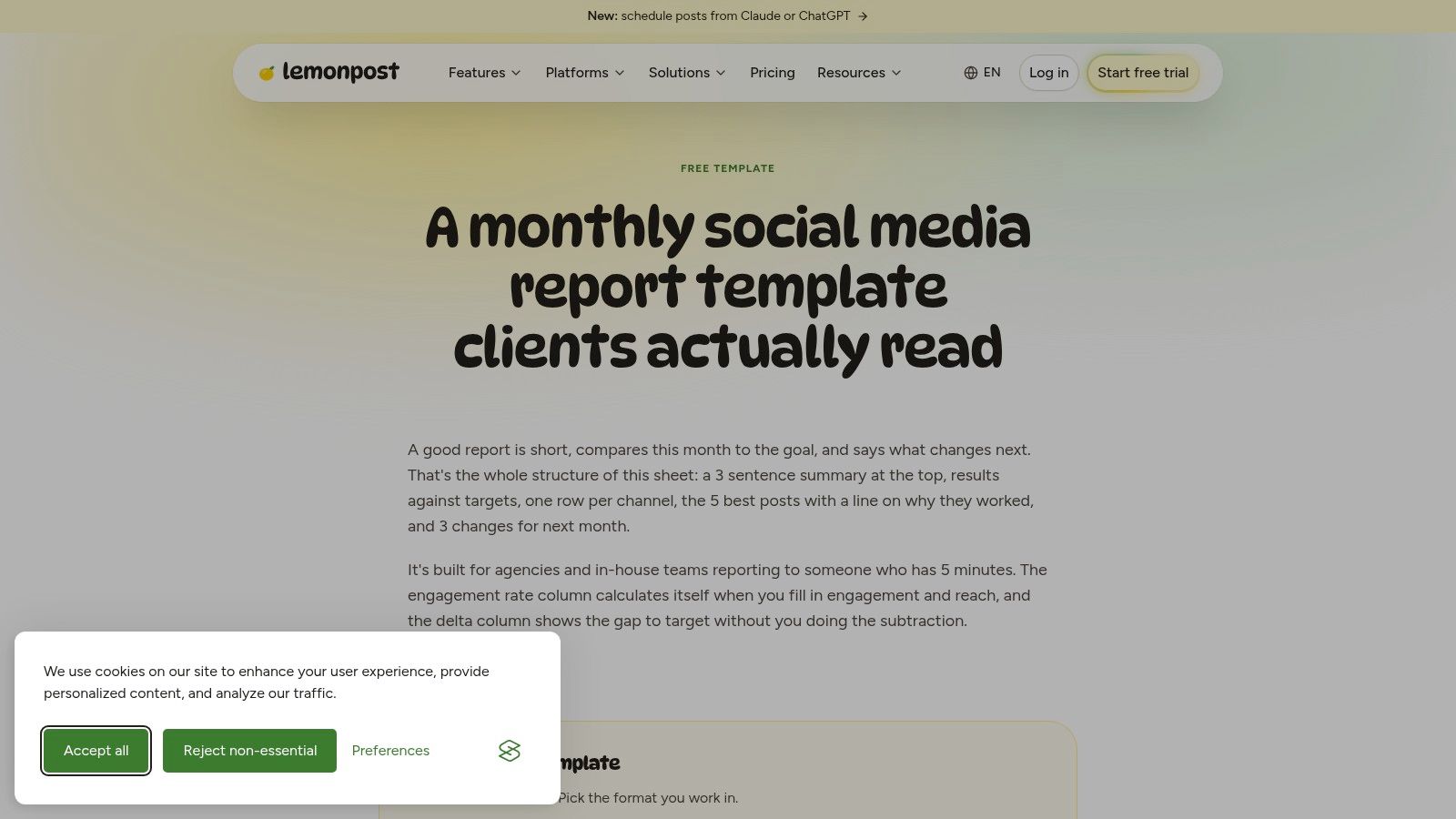 Lemonpost, Monthly Social Media Report Template