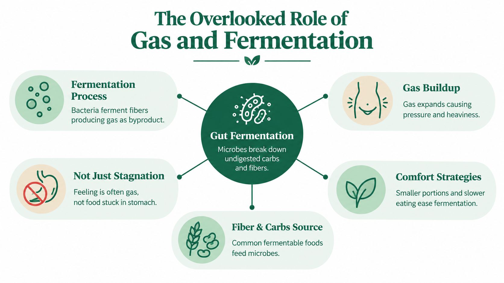 An infographic titled The Overlooked Role of Gas and Fermentation, explaining how gut microbes affect digestion.