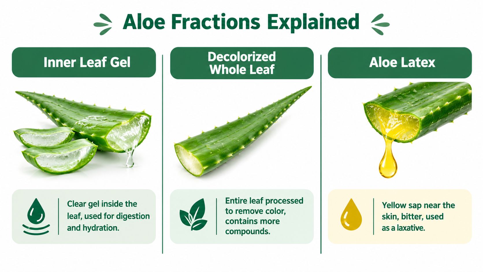 A diagram comparing three different aloe vera plant fractions: inner leaf gel, decolorized whole leaf, and aloe latex.