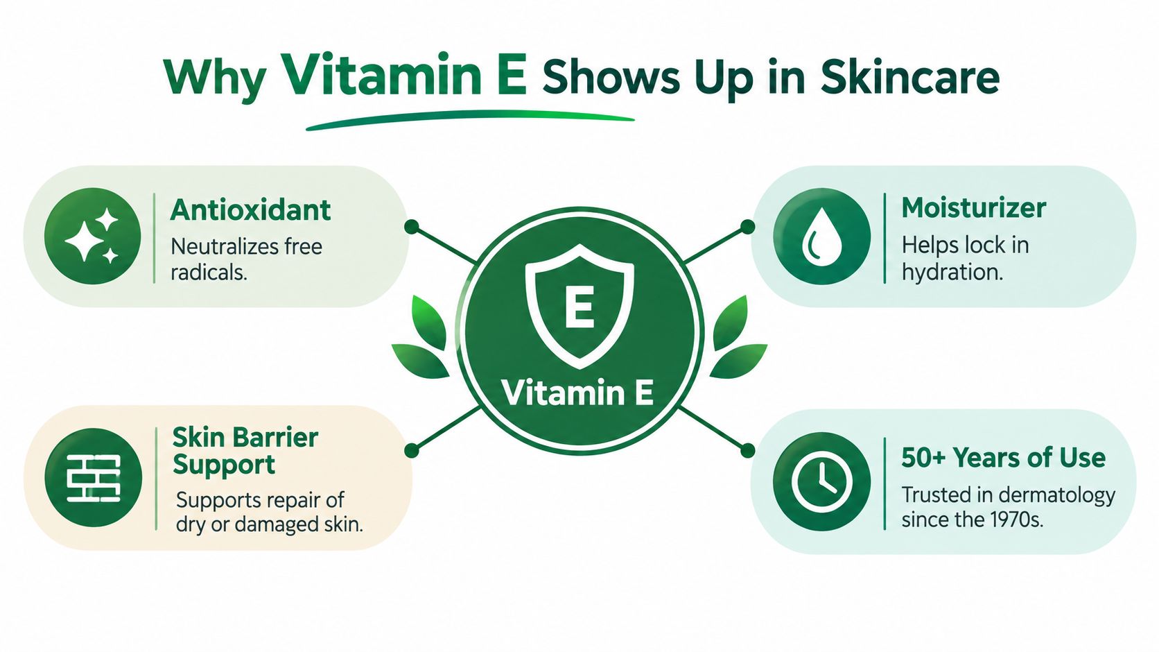 An infographic titled Why Vitamin E Shows Up in Skincare detailing its benefits: antioxidant, moisturizer, barrier support, and long-term dermatological use.