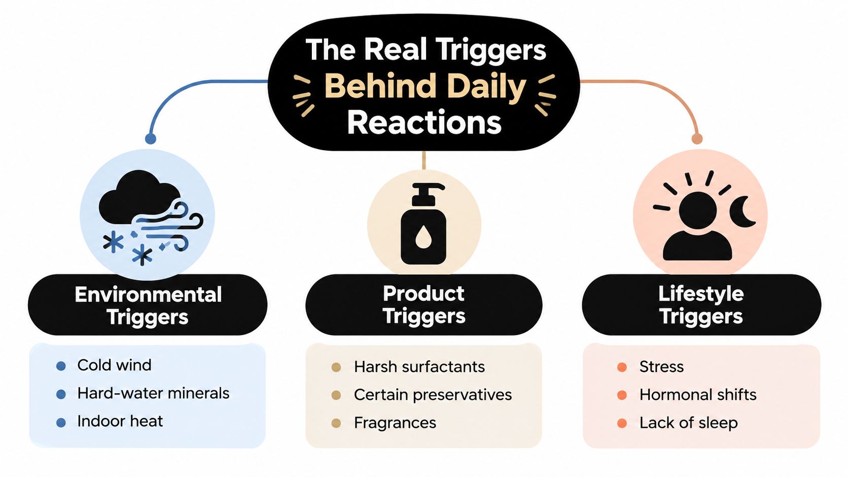 A diagram categorizing environmental, product, and lifestyle triggers that cause daily skin reactions and sensitivity.