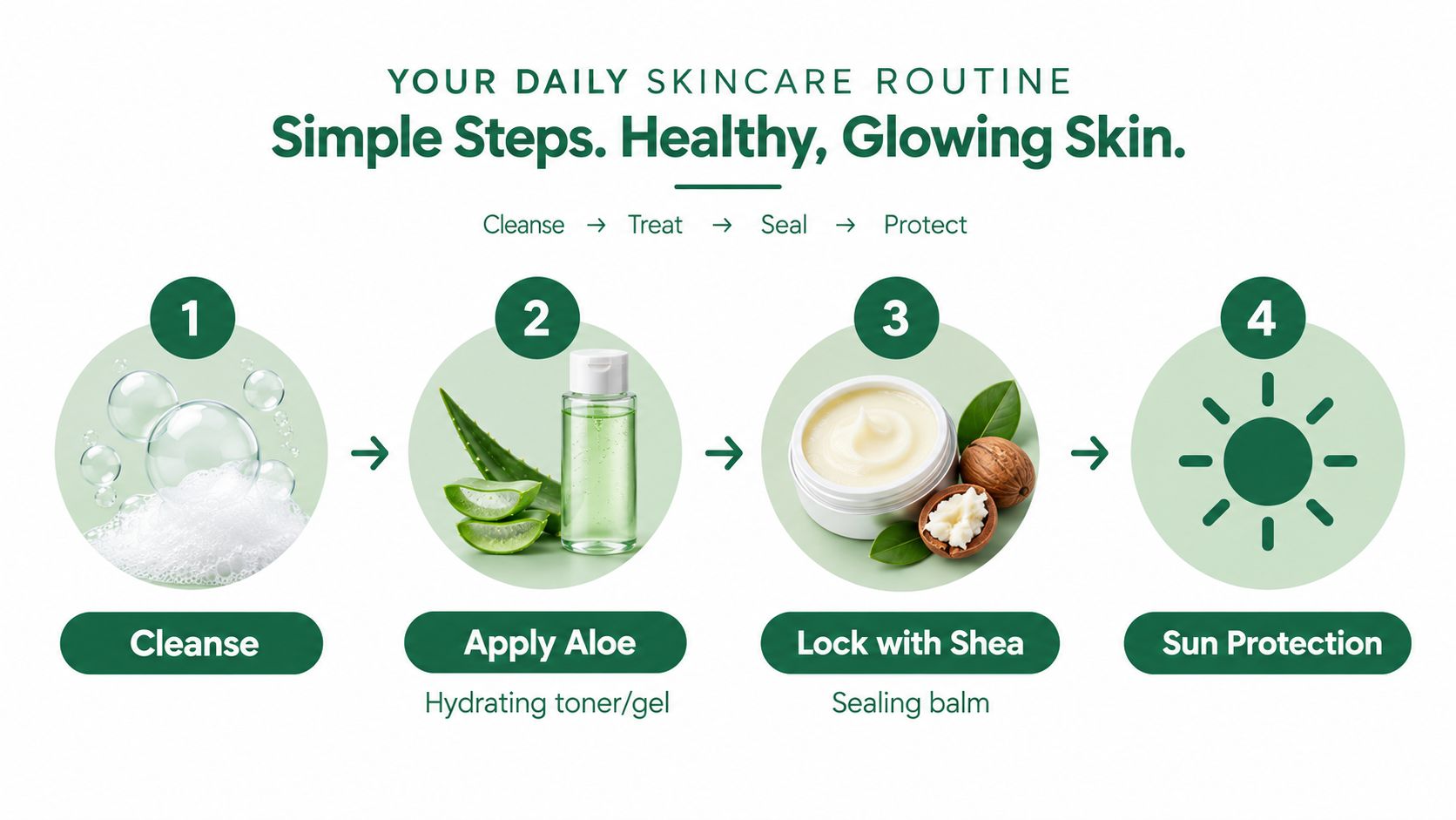 A graphic illustration detailing a four-step daily skincare routine using aloe vera and shea butter products.