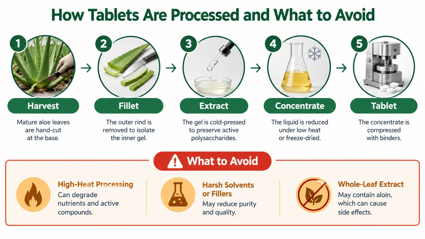 A five-step infographic showing how aloe vera is processed into tablets and listing what to avoid.