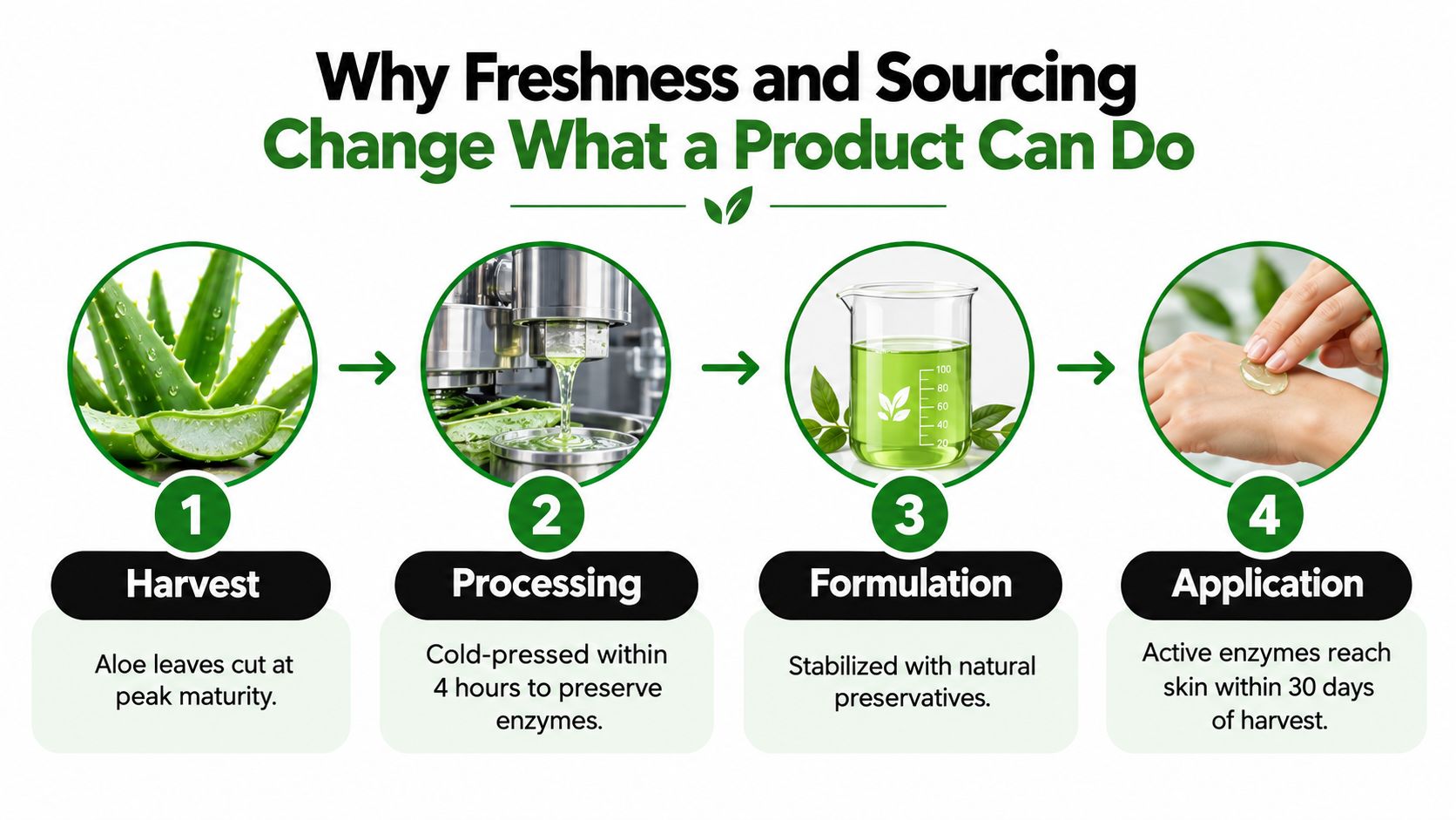 A four-step infographic illustrating the production process from aloe vera harvest to skin care application.