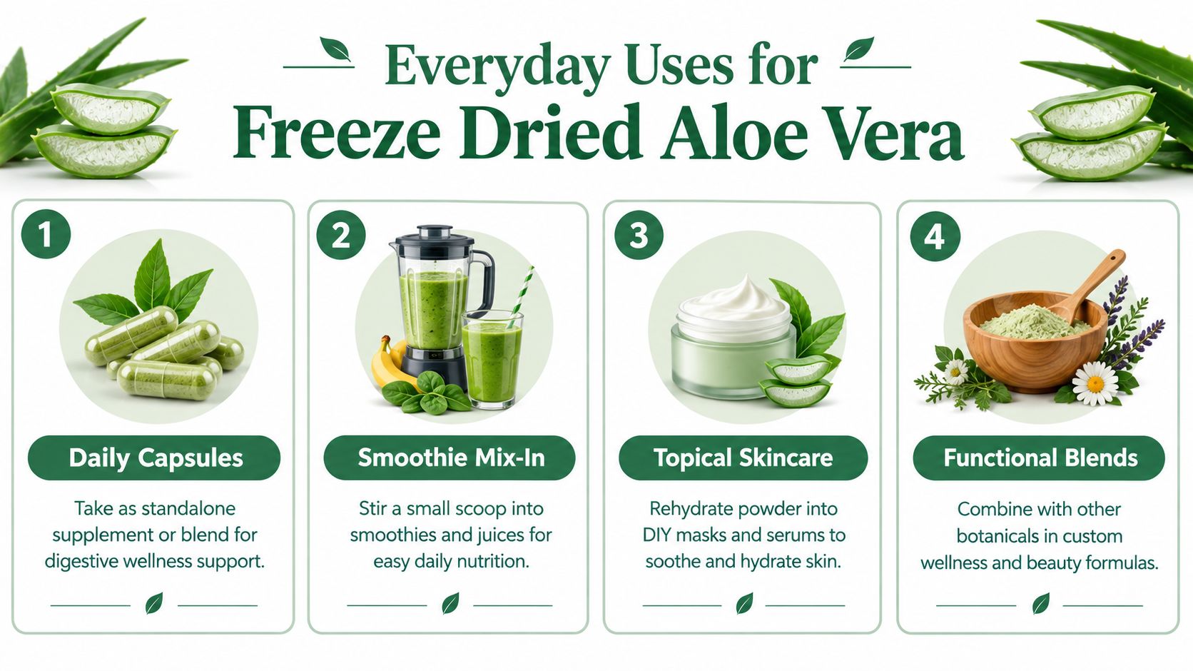 An infographic showing four everyday uses for freeze dried aloe vera, including capsules, smoothies, skincare, and blends.