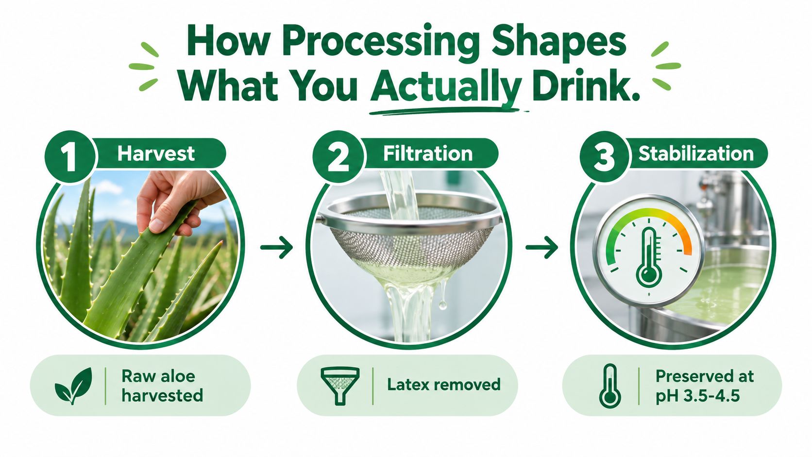 A three-step infographic showing the harvest, filtration, and stabilization process of aloe vera juice production.