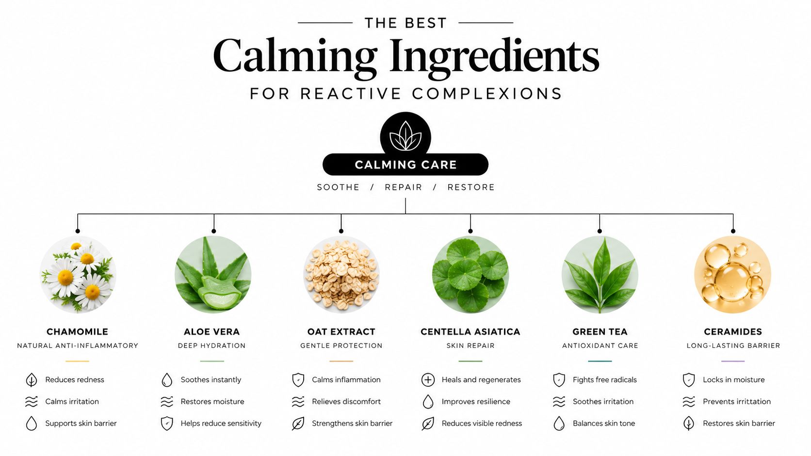 An infographic titled The Best Calming Ingredients for Reactive Complexions highlighting natural soothing skincare ingredients and benefits.