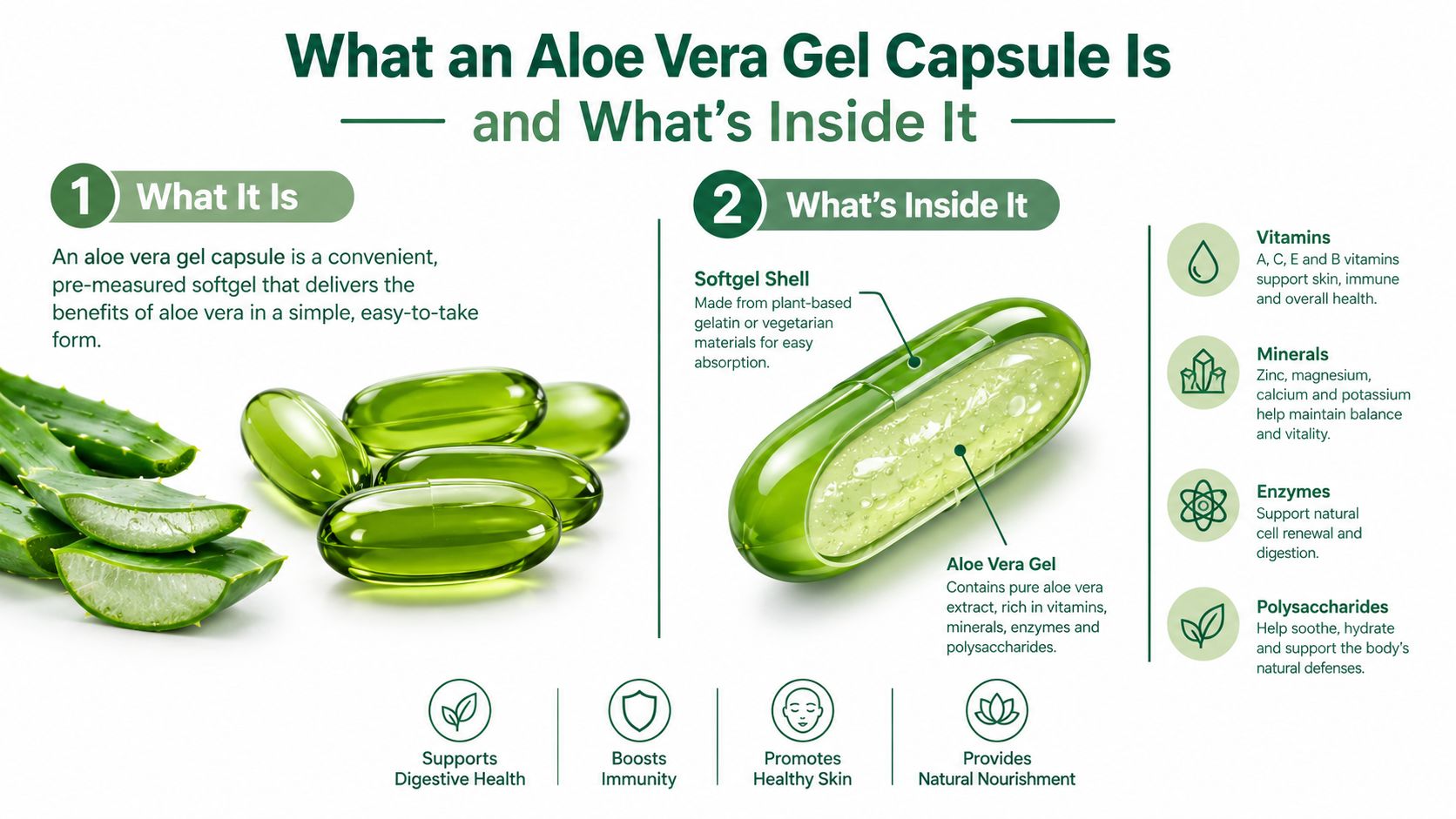 An infographic detailing the contents and health benefits of aloe vera gel capsules for wellness.