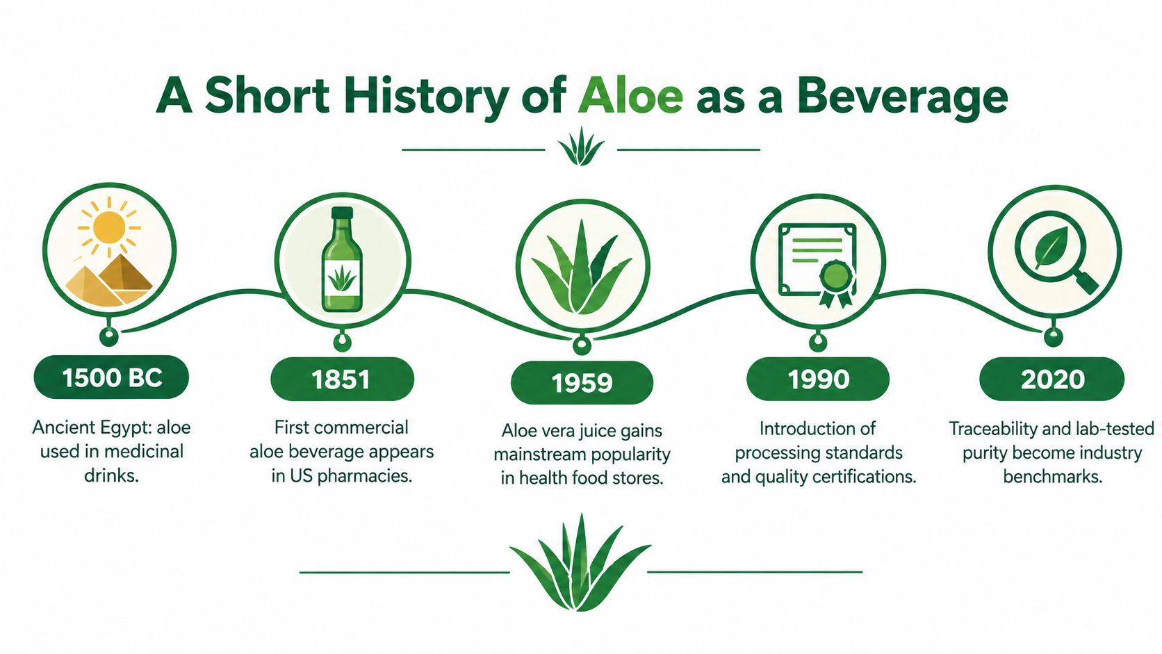 A timeline graphic showing the history of aloe vera beverages from 1500 BC to 2020.