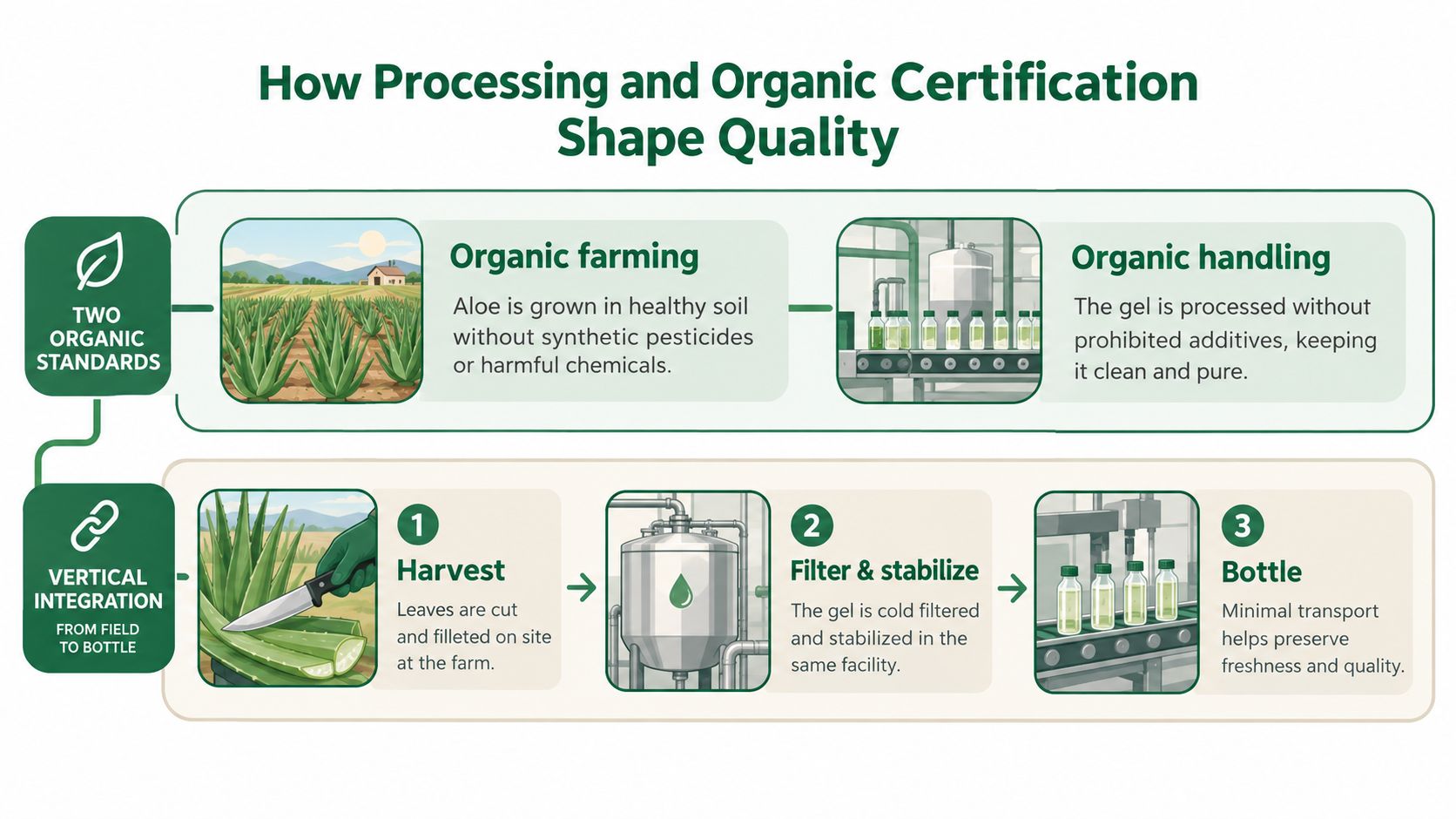 A diagram illustrating the organic farming, handling, and vertical integration process for producing high-quality aloe vera.