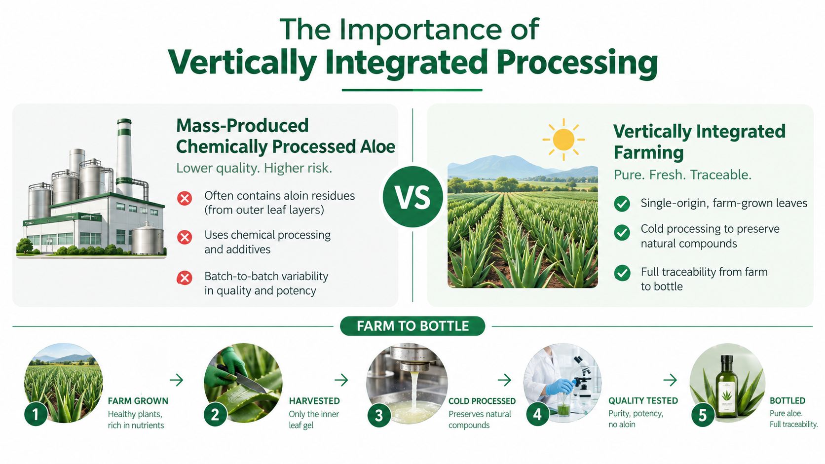 An infographic comparing mass-produced aloe processing with high-quality, farm-to-bottle vertically integrated aloe vera supplement production.