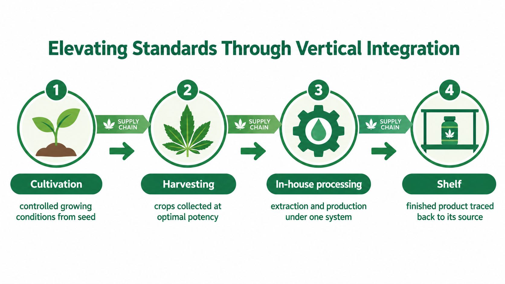 A four-step infographic illustrating the vertical integration supply chain process for cannabis products from cultivation to shelf.