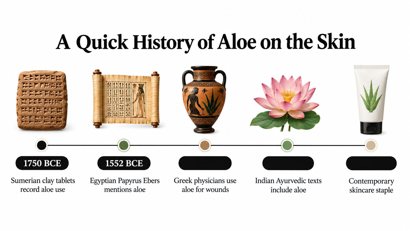 A timeline illustration titled A Quick History of Aloe on the Skin showing historical usage of aloe vera.