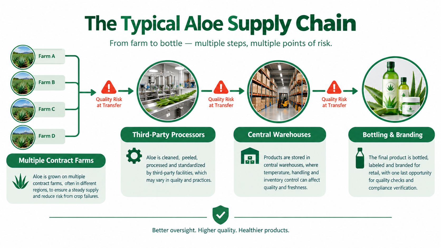 A diagram illustrating the typical multi-step supply chain process for aloe vera products, highlighting potential quality risks.