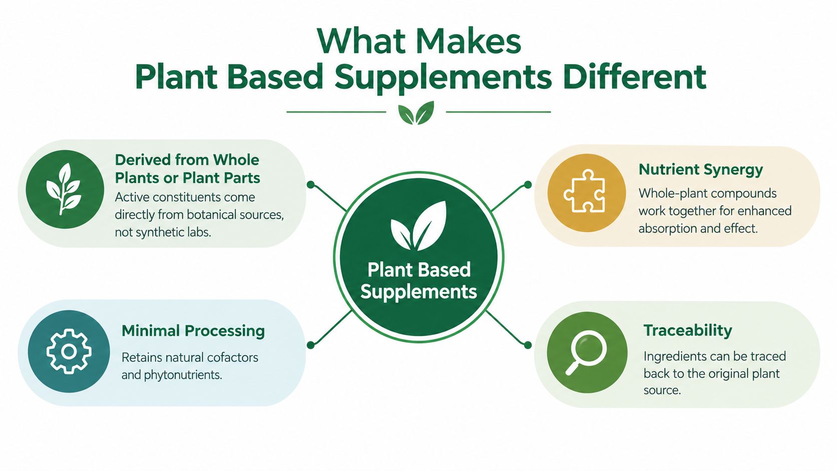 An infographic titled What Makes Plant Based Supplements Different highlighting four key benefits including natural sourcing and synergy.
